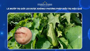 lá mướp trị giời leo