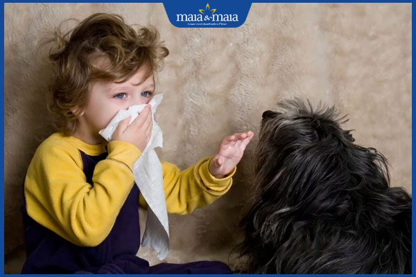 Dị ứng ở trẻ do đâu? Cách xử lý và phòng ngừa an toàn cho bé 5 trẻ dị ứng với lông động vật