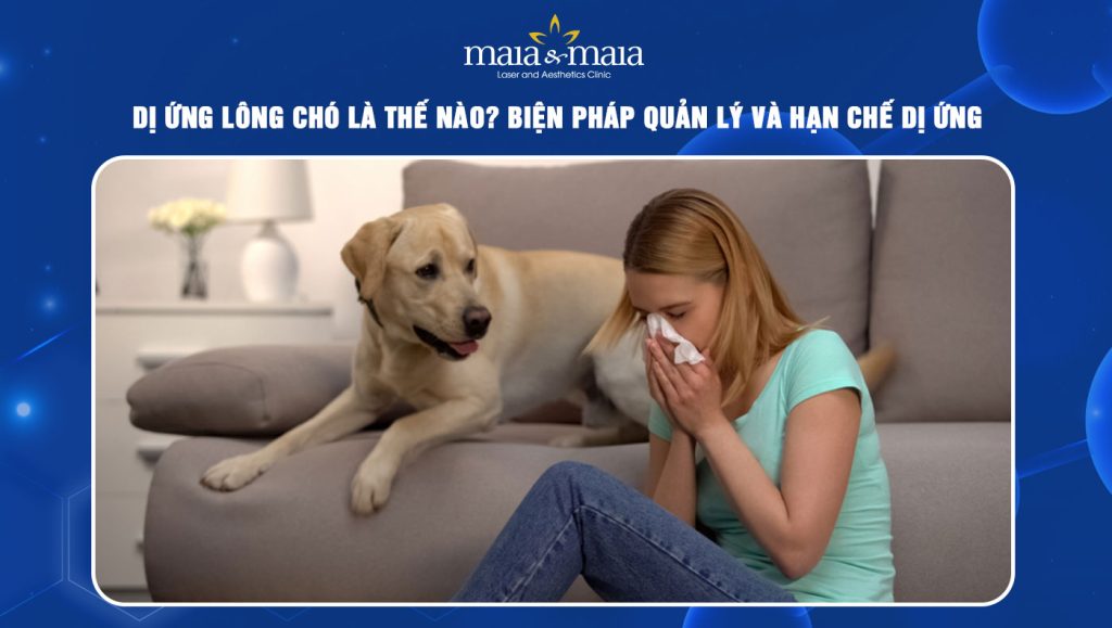 Dị ứng lông chó