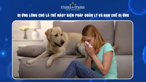 Dị ứng lông chó