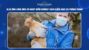 Dị ứng lông mèo