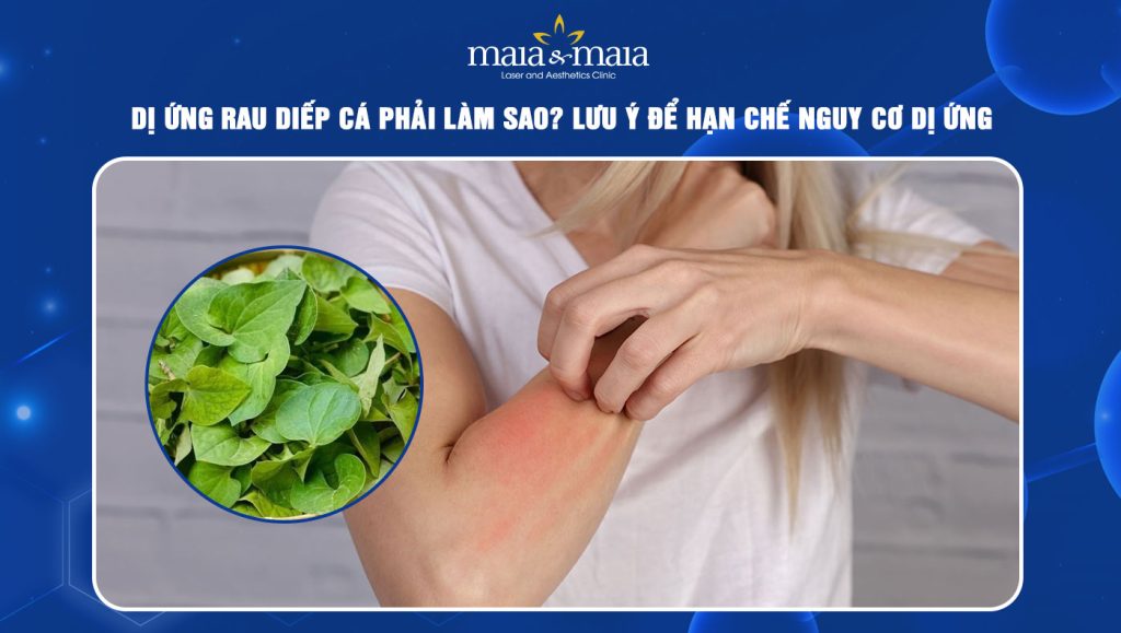 dị ứng rau diếp cá