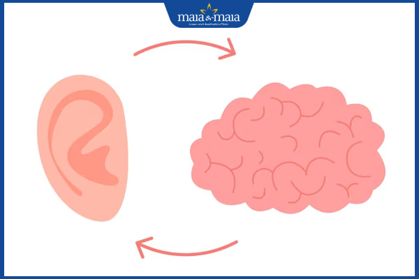 liên kết tai và não
