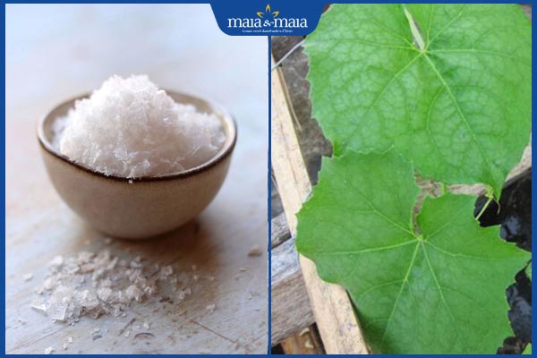 muối và lá mướp