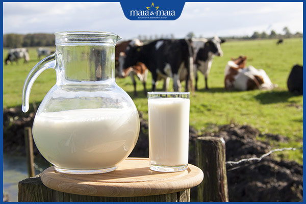 nguồn sữa bò
