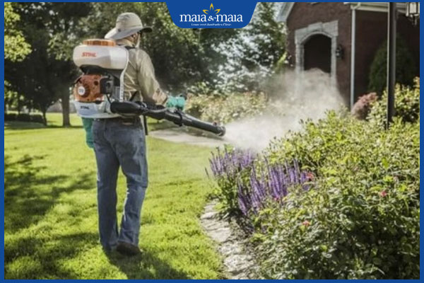 Dị ứng thuốc diệt muỗi có triệu chứng gì? Cách khắc phục 3 phun thuốc muỗi