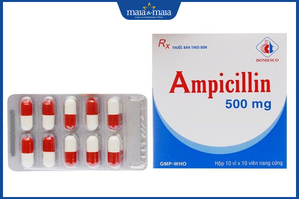 thuốc Ampicillin