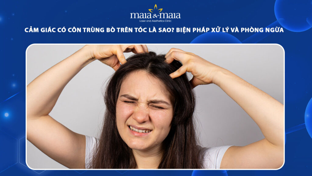 Cảm giác có côn trùng bò trên tóc là bị làm sao? Cách xử lý 1 cảm giác có côn trùng bò trên tóc