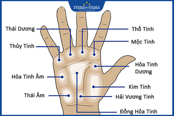 các vị trí nốt ruồi ở lòng bàn tay