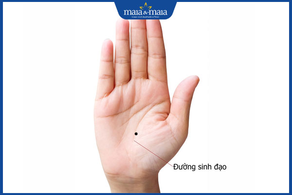 nốt ruồi ở đường sinh đạo