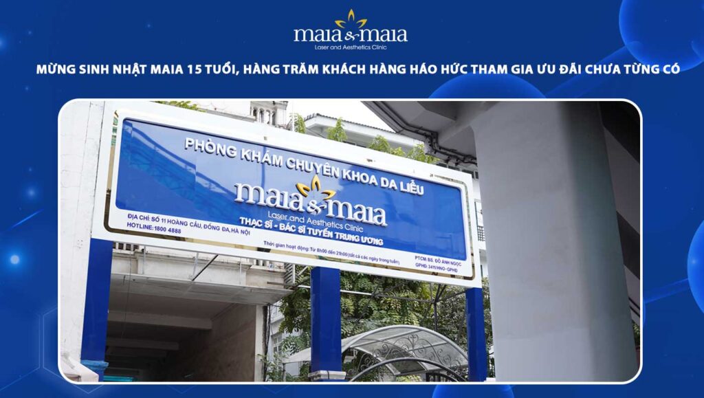 sinh nhật maia 15 tuổi