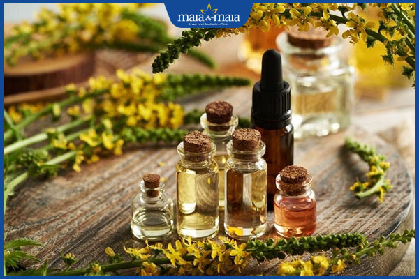 Tổng hợp danh sách 6 loại tinh dầu trị thâm môi hiệu quả 2 các loại tinh dầu