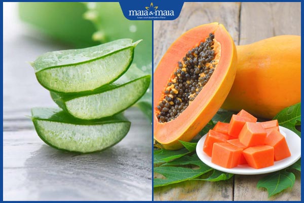 nha đam và đu đủ