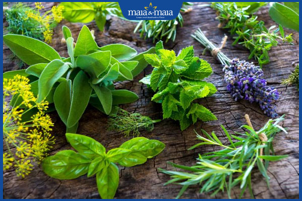 Gợi ý 7 cách chữa nấm da dân gian được lưu truyền hiện nay 2 các bài thuốc dân gian