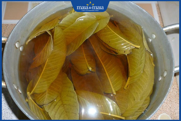 Trị nấm da đầu bằng lá ổi có tốt không? Gợi ý cách thực hiện 5 nấu lá ổi