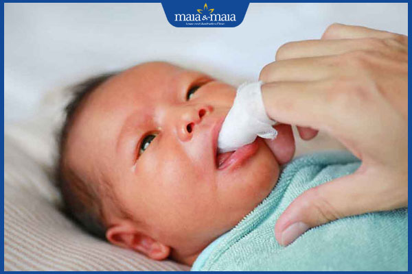 thoa thuốc theo chỉ định