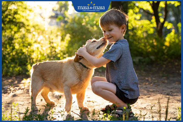 Nấm da có lây không? Đối tượng có nguy cơ cao bị lây nhiễm? 3 trẻ chơi cùng động vật