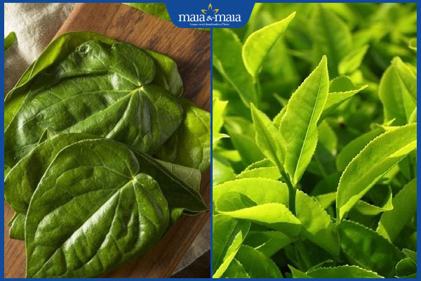 lá trầu không và trà xanh