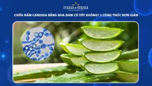 chữa nấm candida bằng nha đam