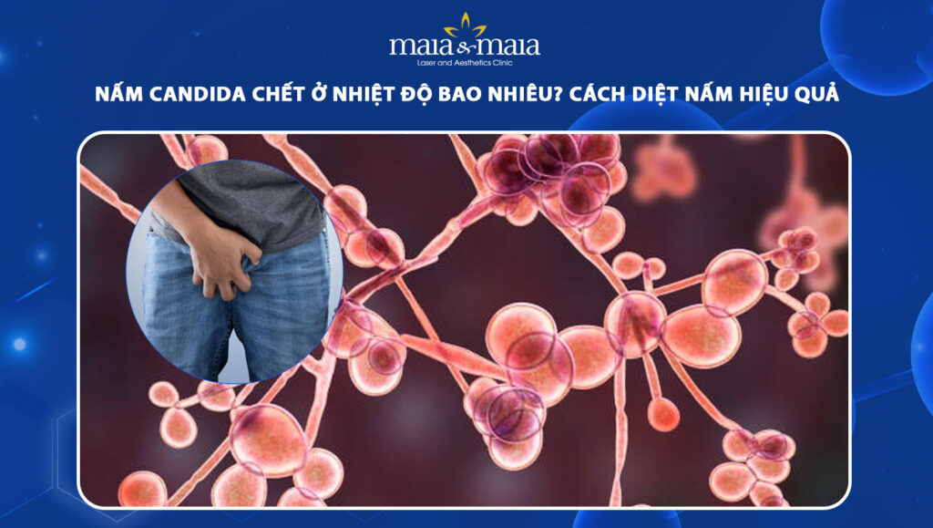 nấm candida chết ở nhiệt độ bao nhiêu