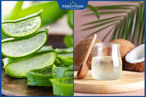 Chữa nấm Candida bằng nha đam có tốt không? Gợi ý thực hiện 3 nha đam và dầu dừa