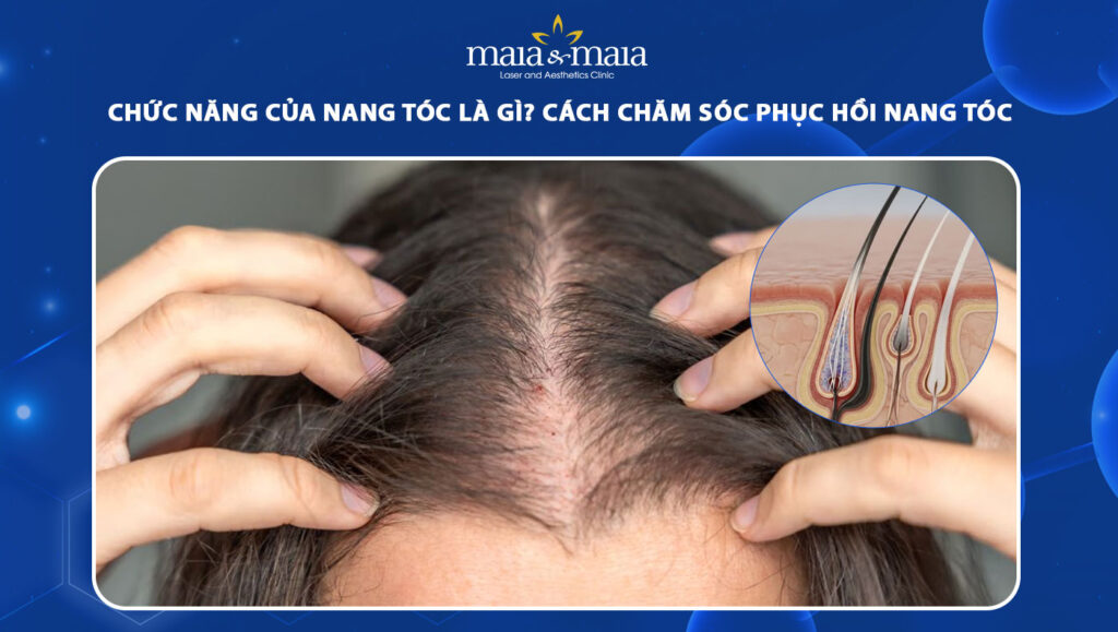 chức năng của nang tóc