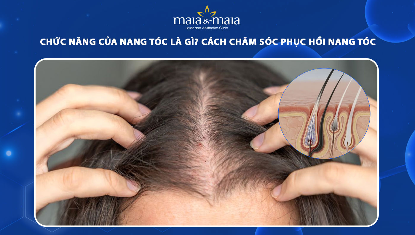 chức năng của nang tóc