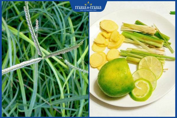 cỏ mần trầu và chanh sả