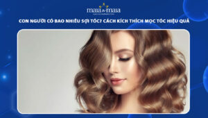 con người có bao nhiêu sợi tóc