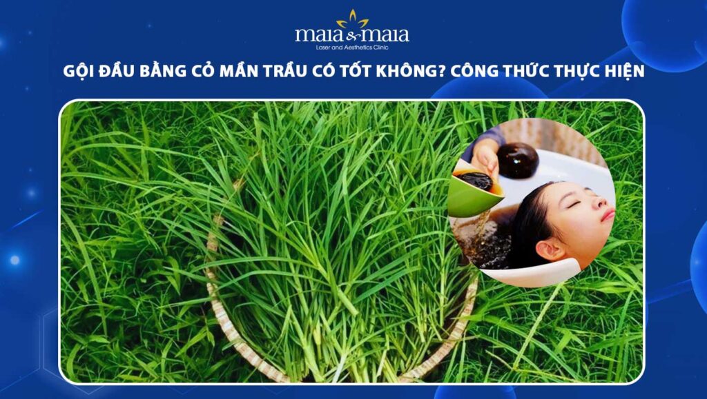 gội đầu bằng cỏ mần trầu