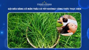 gội đầu bằng cỏ mần trầu