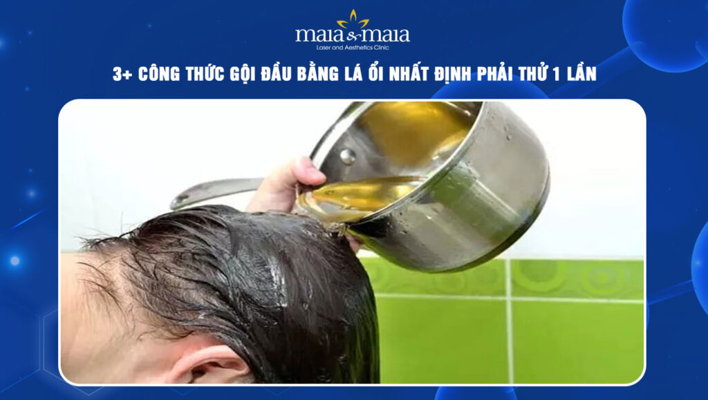 gội đầu bằng lá ổi