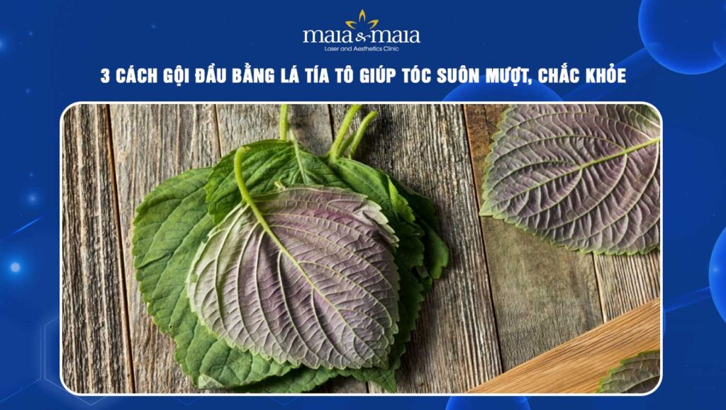 gội đầu bằng lá tía tô