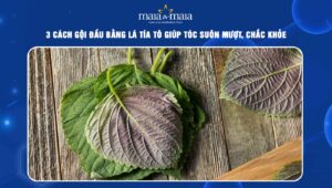 gội đầu bằng lá tía tô