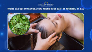gội đầu bằng lá trầu không