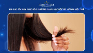 phục hồi tóc hư tổn