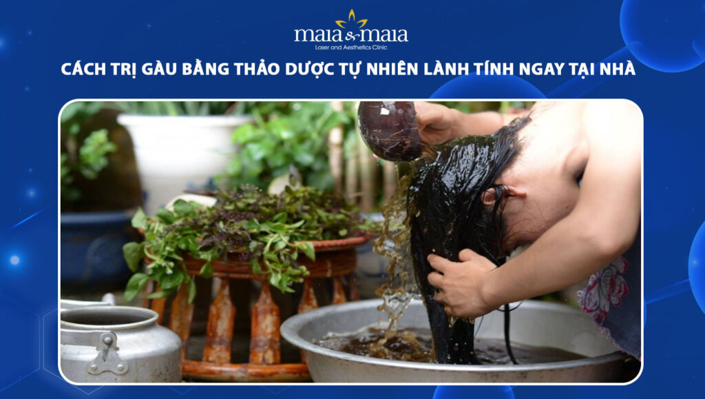cách trị gàu bằng thảo dược