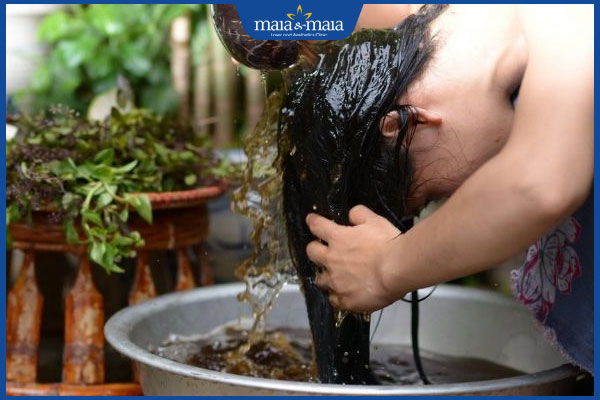 Mái tóc dày, chắc khỏe nhờ thói quen dùng hà thủ ô gội đầu 4 gội đầu bằng hà thủ ô