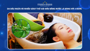gội đầu bằng nước lá bàng