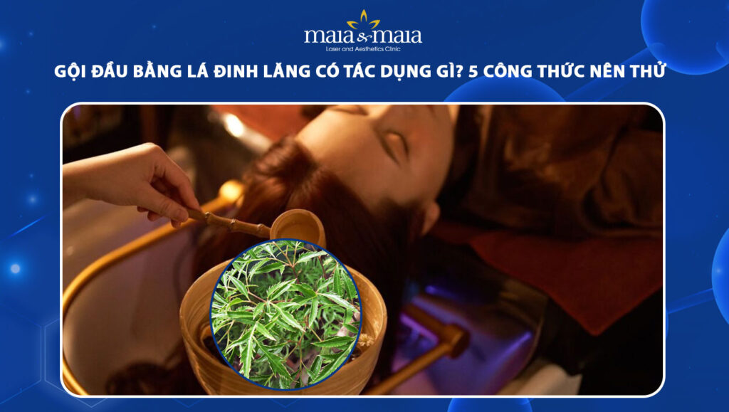 gội đầu bằng lá đinh lăng