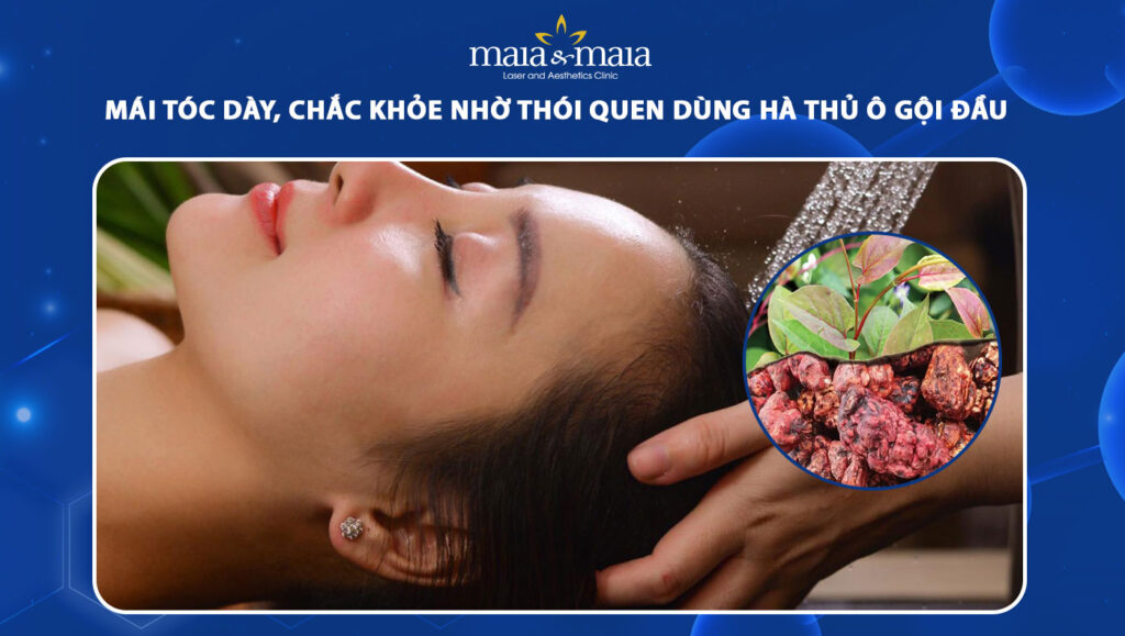 Mái tóc dày, chắc khỏe nhờ thói quen dùng hà thủ ô gội đầu 1 hà thủ ô gội đầu