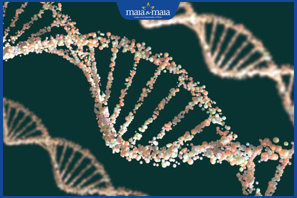 Hội chứng Progeria là gì? Nguyên nhân và cách điều trị 3 đột biến gen LMNA