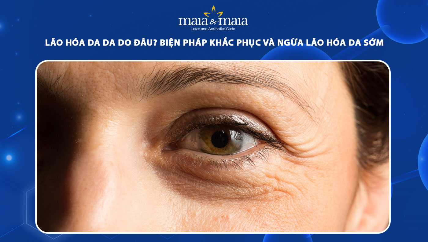 lão hóa da