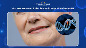 lão hóa nội sinh