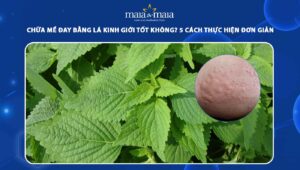 chữa mề đay bằng lá kinh giới