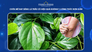 chữa mề đay bằng lá trầu