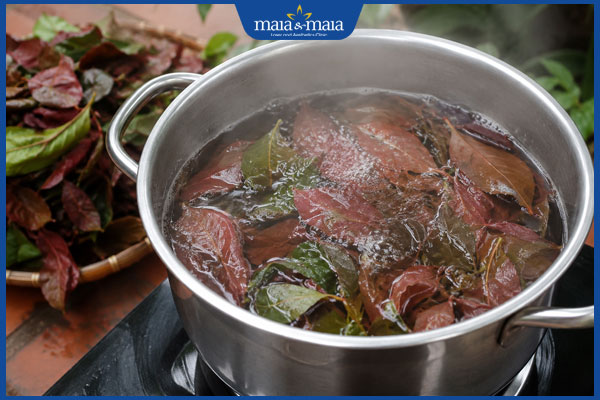 nước tắm lá đơn đỏ